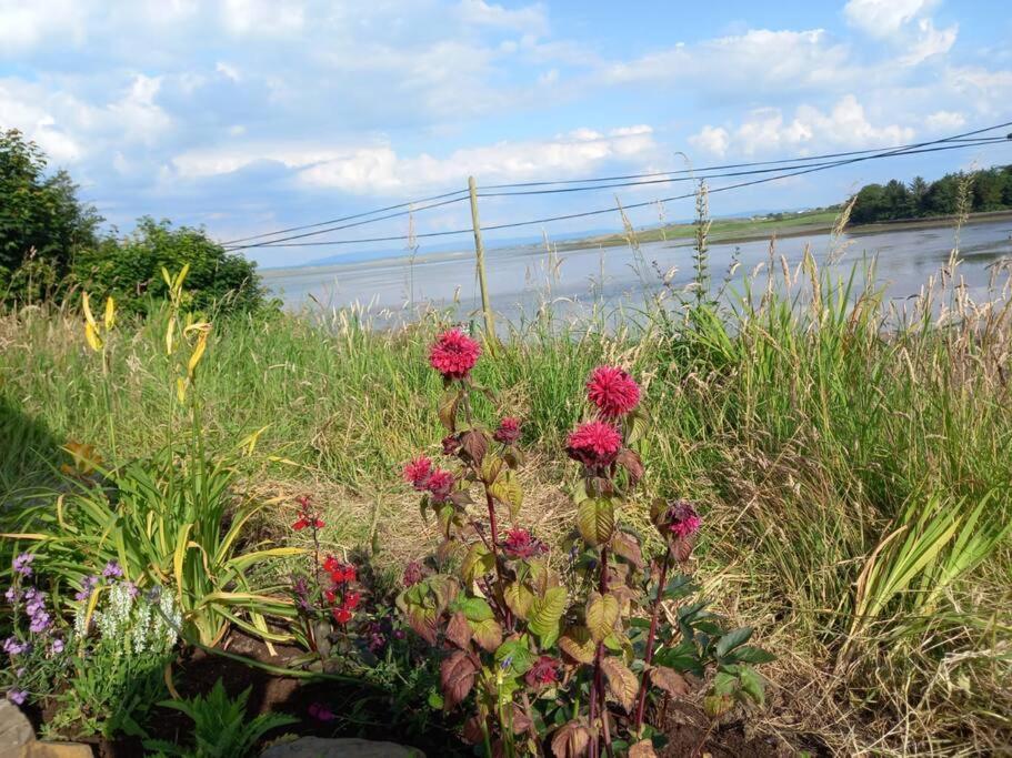 2 Quay Road, Killala. Stunning Sea Front Cottage Buitenkant foto